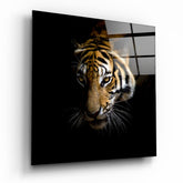 Tiger Glass Wall Art.